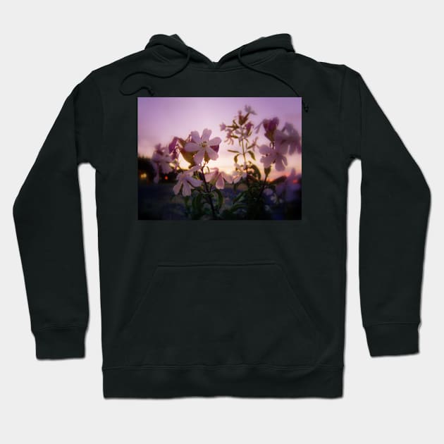 wildflowers & Columbia River sunset 2 Hoodie by DlmtleArt